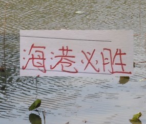 开云体育app下载官网-申花两场热身赛都没有赢 ，还就看新阵容海港能否热身起飞了